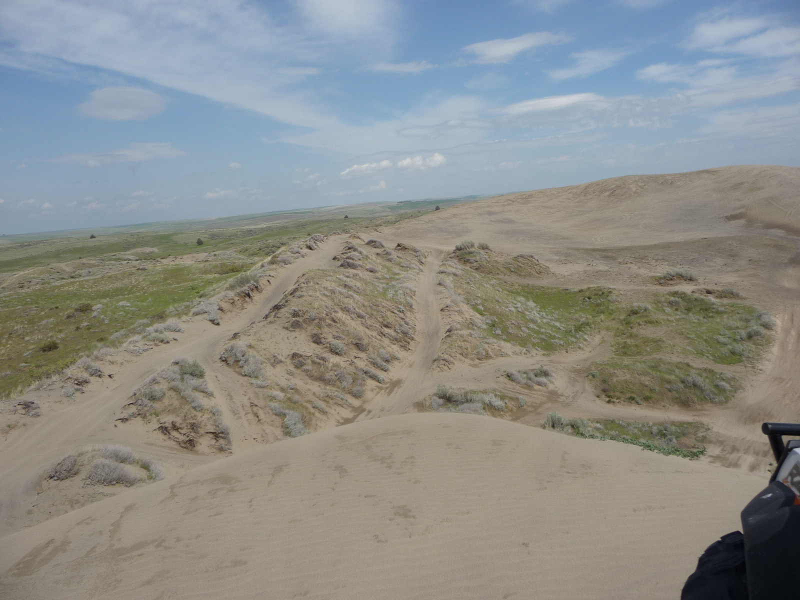 BLM Juniper Dunes