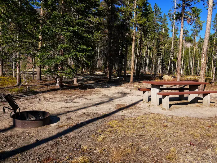 Cascade — Campsite in tall pine trees.