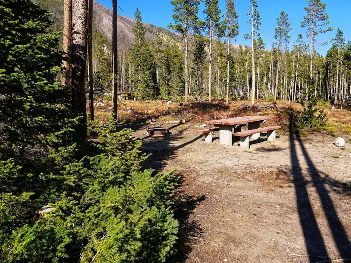 Cascade — Picnic Table and fire ring in alpine setting.