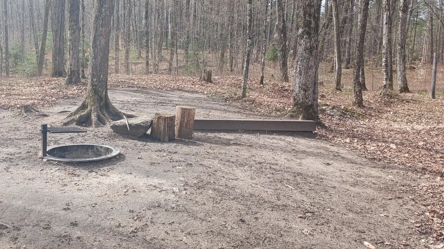 Ironjaw Lake Dispersed Campsite
