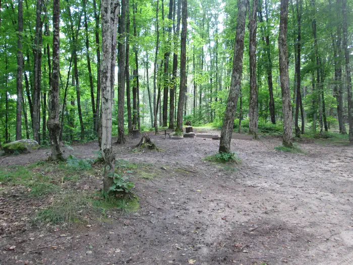 Ironjaw Lake Dispersed Campsite — Ironjaw Lake Campsite