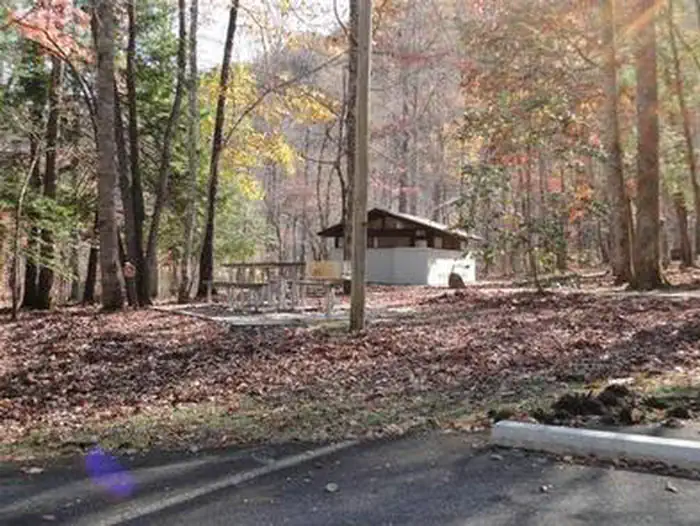 Collins Creek Picnic Pavilion — COLLINS CREEK PICNIC PAVILION