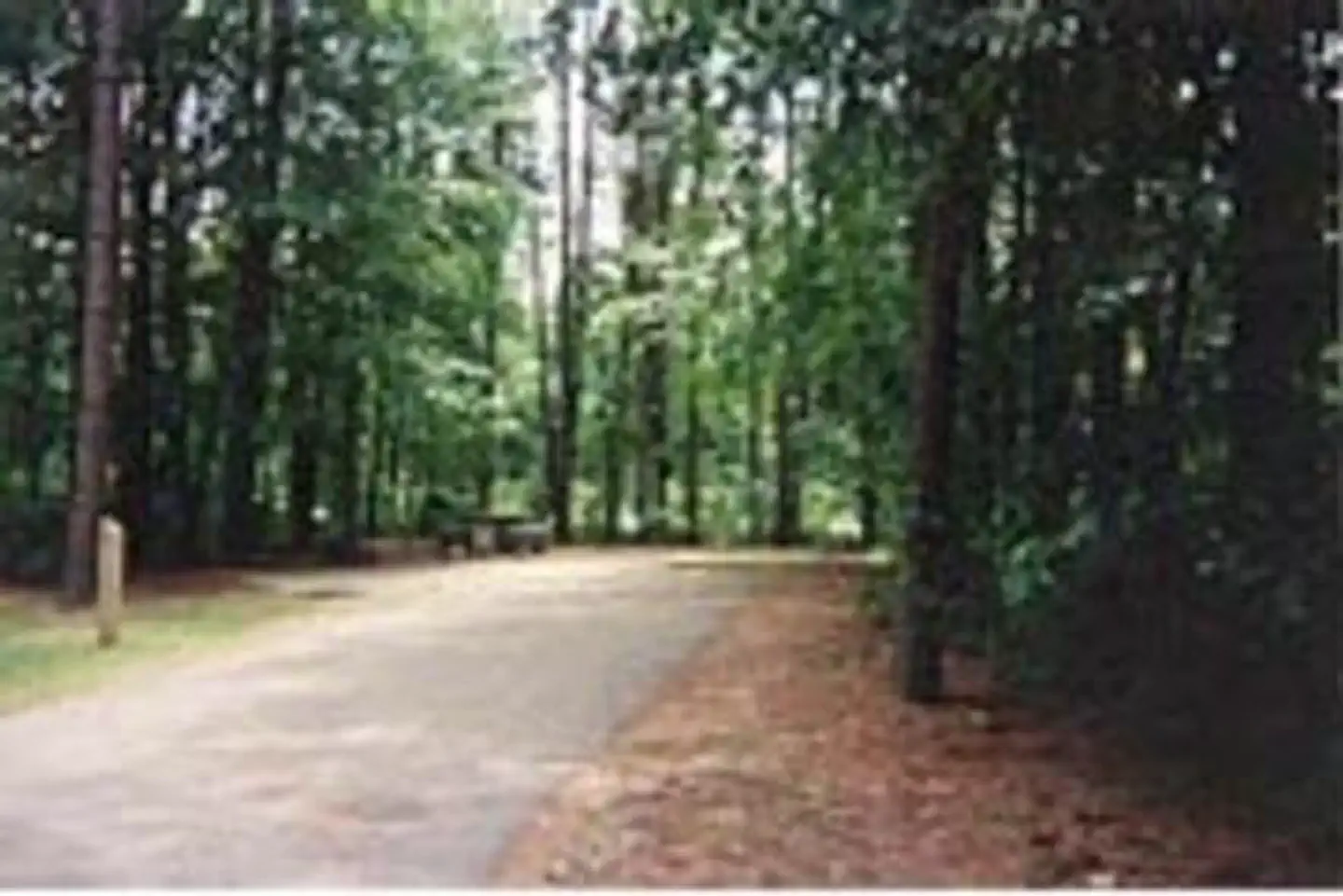 Dam Site River - Beaver Lake — DAM SITE RIVER (BEAVER LAKE)