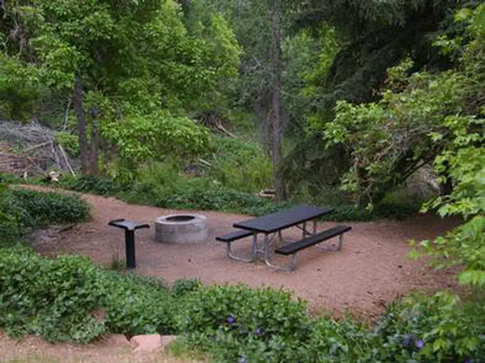 Adelaide Campground — ADELAIDE CAMPGROUND