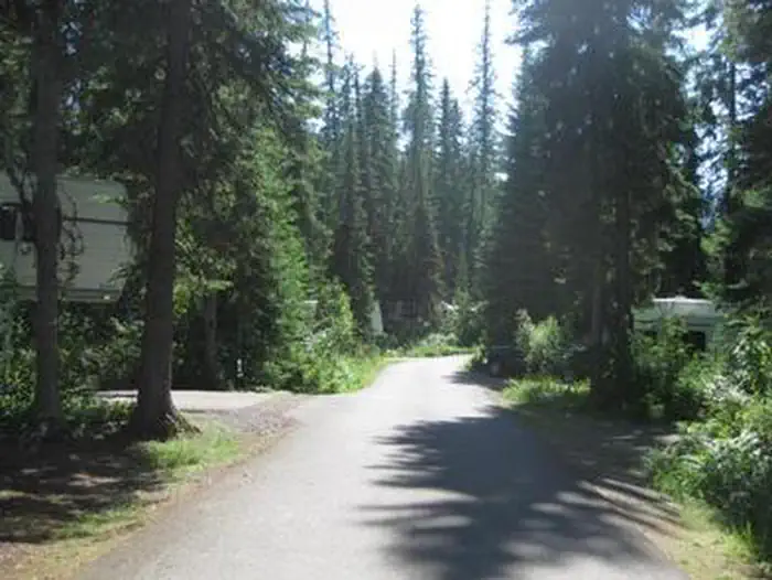 Lost Johnny Point Campground — LOST JOHNNY POINT CAMPGROUND