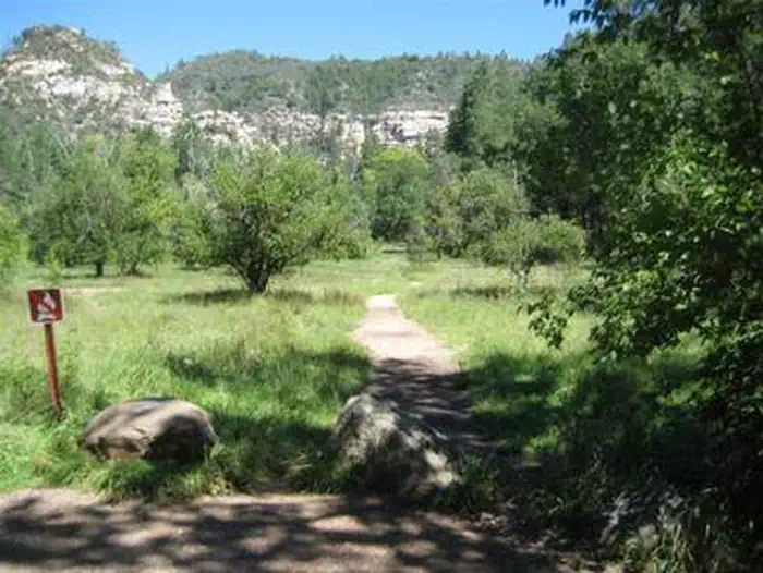 Cave Springs — Cave Springs Mountain View