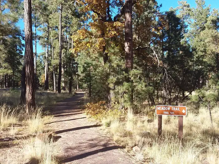 Woods Canyon Group Campground — Meadow Trail