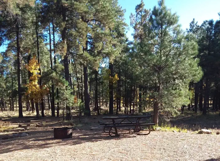 Woods Canyon Group Campground — Site 8