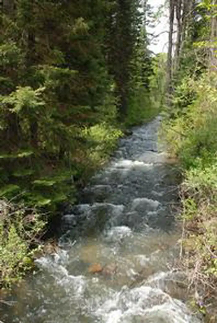 Mineral Springs Group — MINERAL SPRINGS GROUP