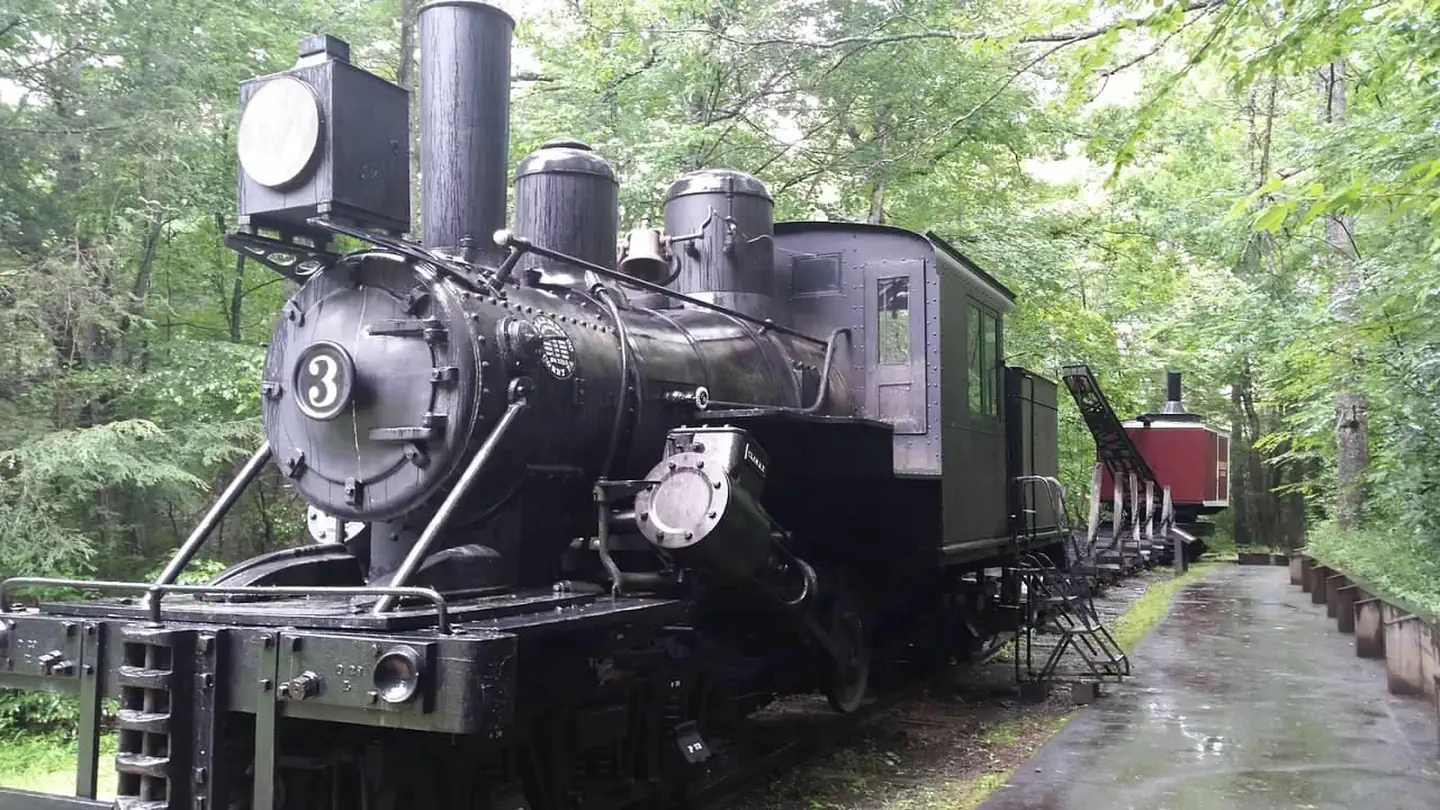 Mount Pisgah Campground — The train at Cradle of Forestry, a nearby attraction.