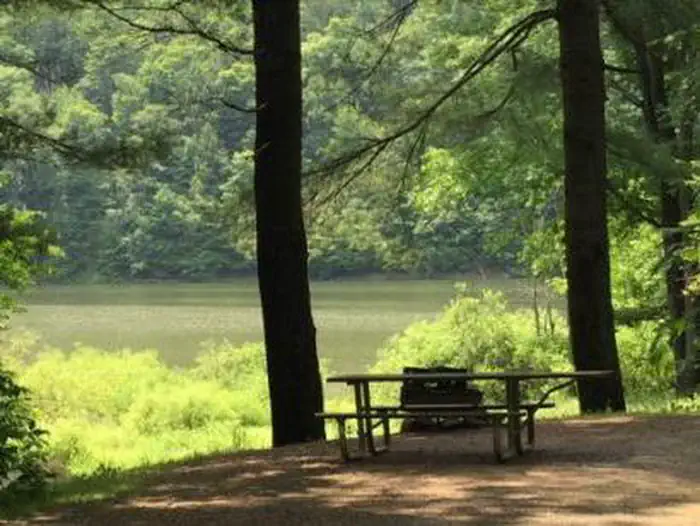 Handsome Lake Campground — rustic campground