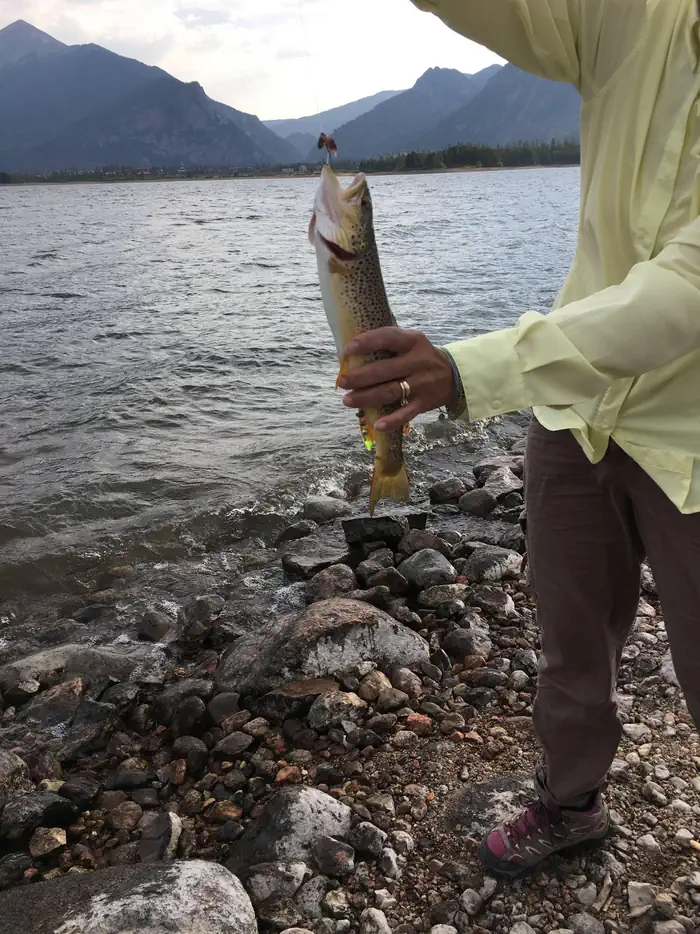 Heaton Bay — Superb Fishing in Dillon Reservoir