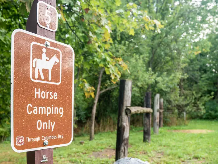 Backbone Horse Campground — Backbone Horse Campground Site 5