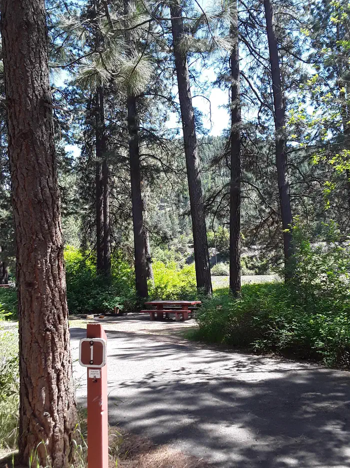 Sloway Campground — Sloway Site A-1