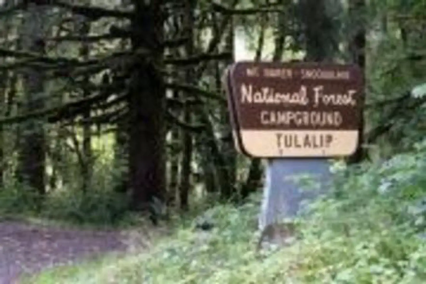 Tulalip Group Camp — Tulalip Group Camp