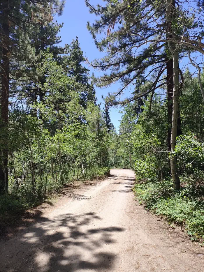 Leavitt Meadows Campground — A photo of facility Leavitt Meadows with No Amenities Shown