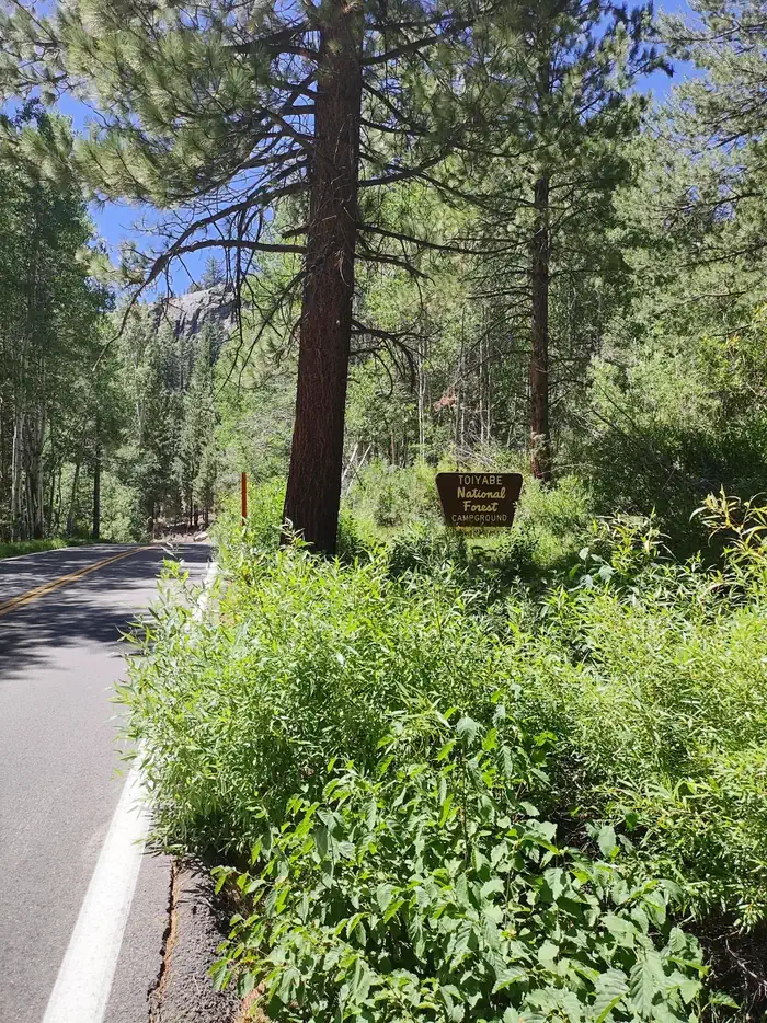 Leavitt Meadows Campground — A photo of facility Leavitt Meadows with No Amenities Shown