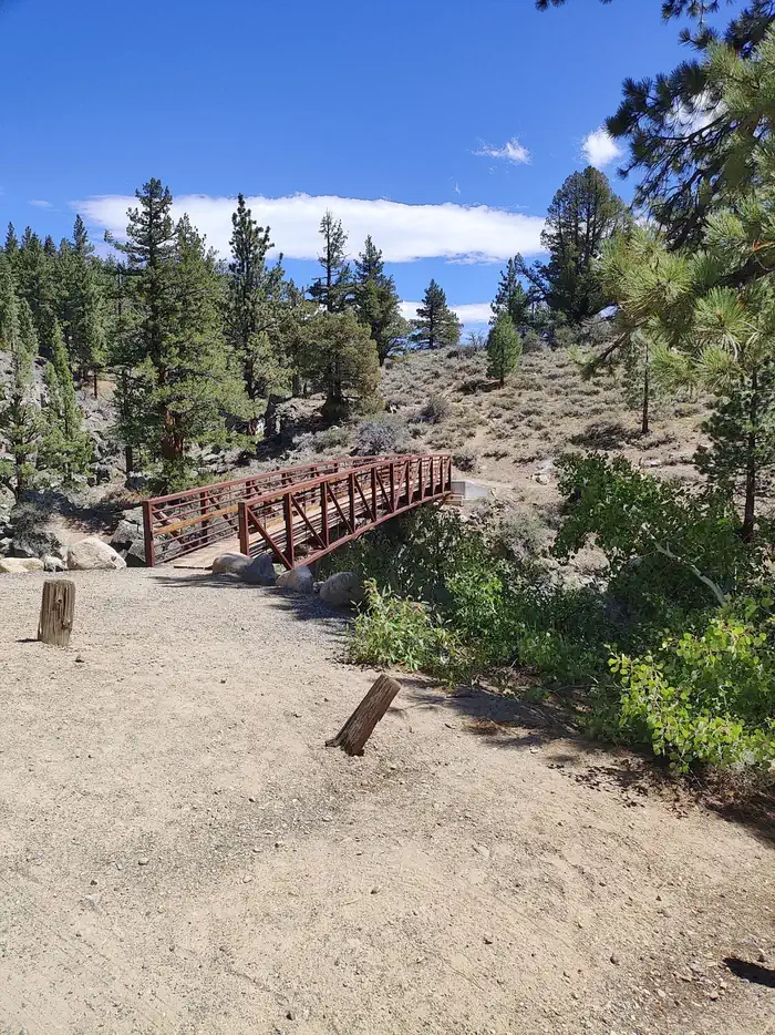 Leavitt Meadows Campground — A photo of facility Leavitt Meadows with No Amenities Shown