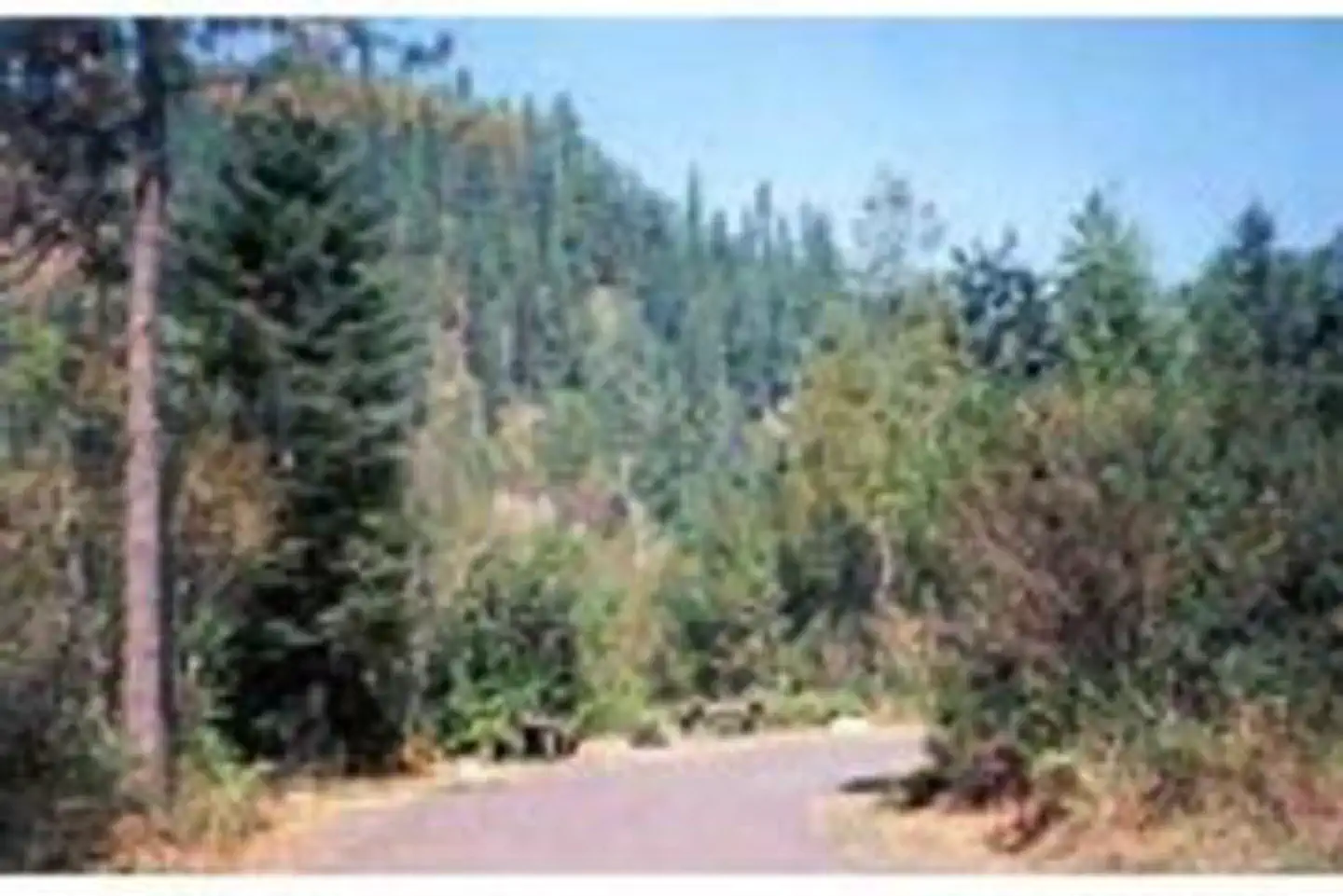 Wilderness Gateway — WILDERNESS GATEWAY