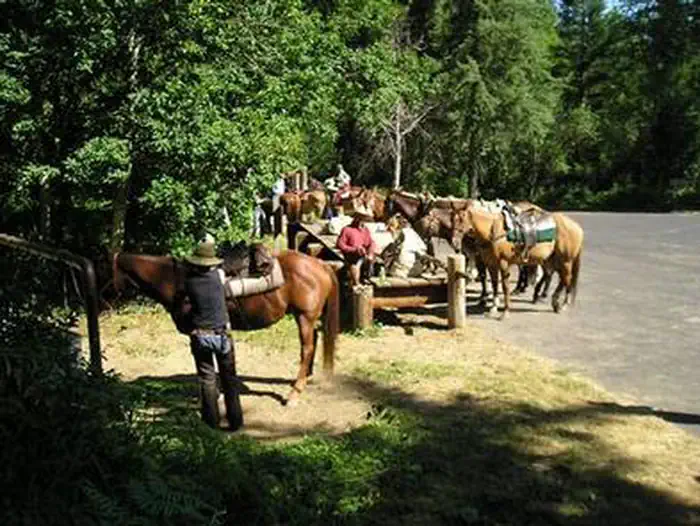 Wilderness Gateway — WILDERNESS GATEWAY