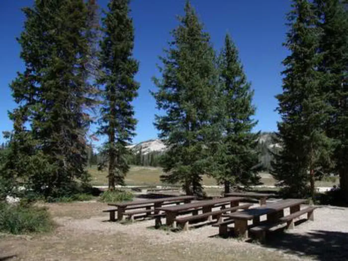 Twelve Mile Flat — Twelve Mile Flat Campground