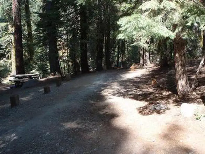 Upper Billy Creek Campground — UPPER BILLY CREEK Campsite
