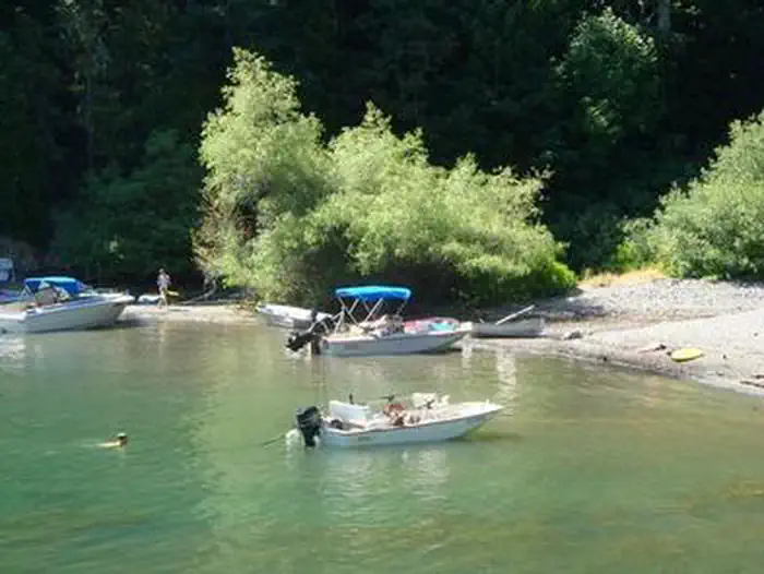 Fir Cove Campground — Fir Cove Campground Ruth Lake Shoreline