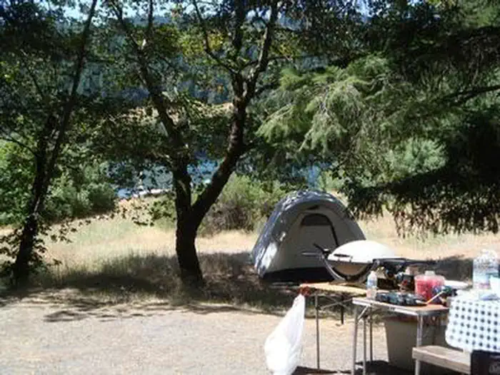 Fir Cove Campground — Fir Cove Campsite