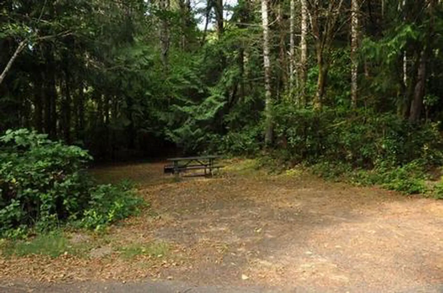 Sutton Campground — SUTTON CAMPGROUND