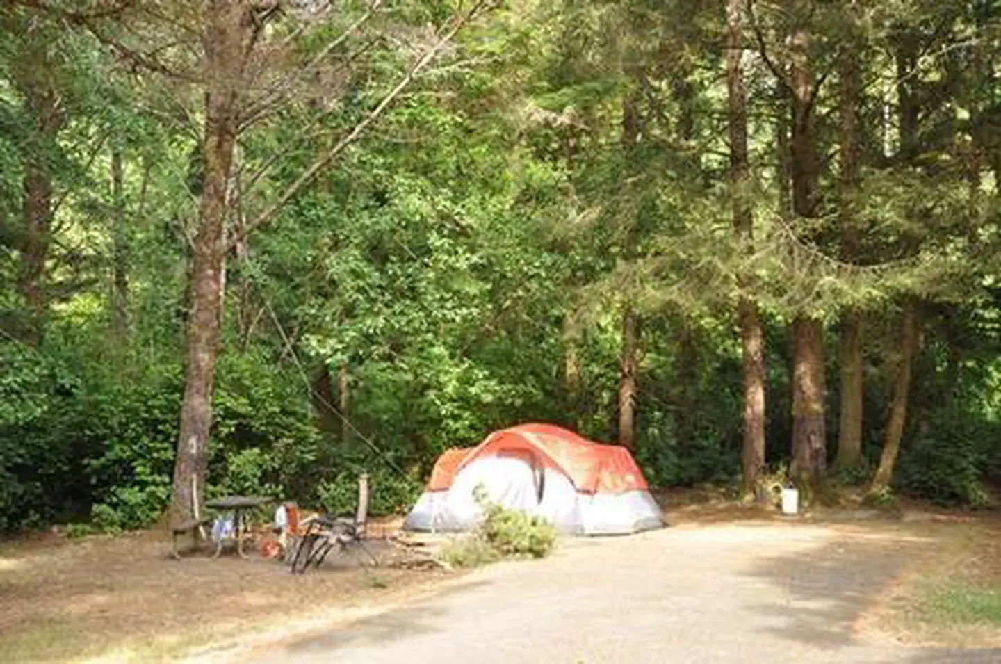 Sutton Campground — SUTTON CAMPGROUND
