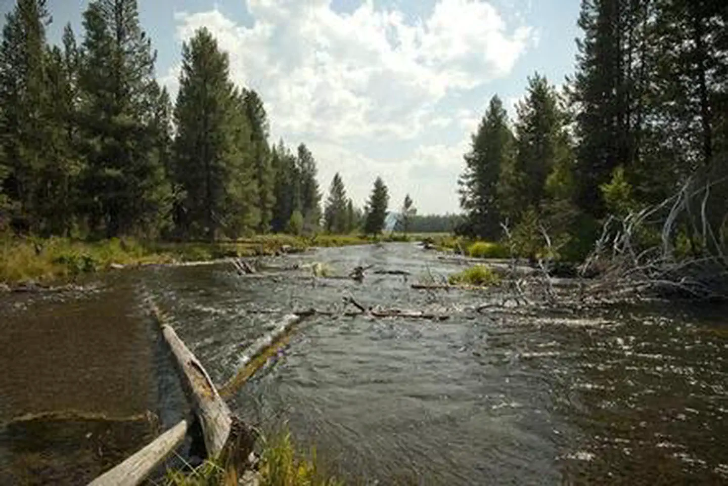 Cow Meadow Campground — COW MEADOW CAMPGROUND