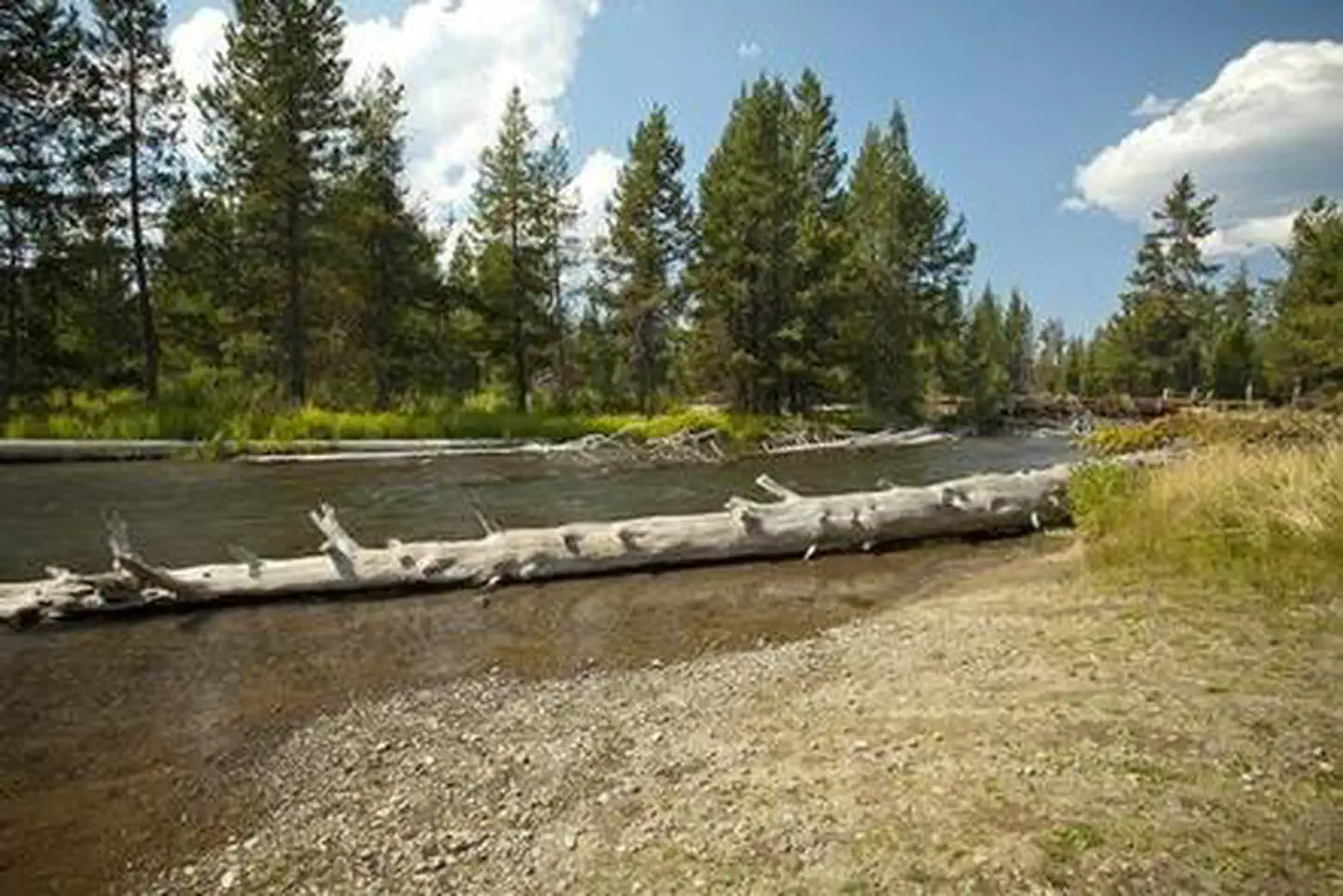 Cow Meadow Campground — COW MEADOW CAMPGROUND