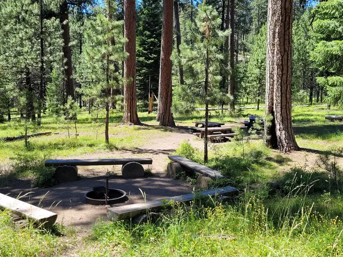 Ochoco Divide Group Site β GROUP SITE