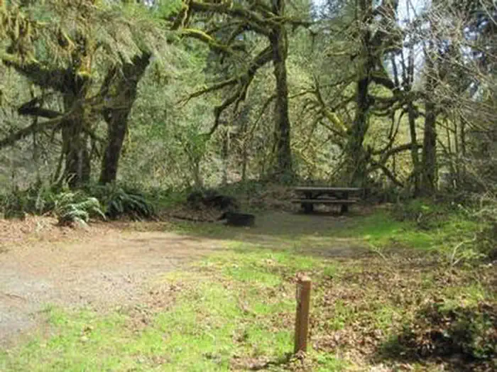 Fernview Group Site — FERNVIEW GROUP SITE