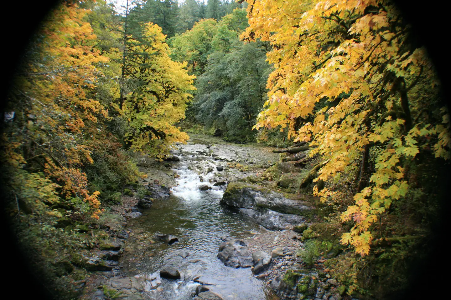 Fernview Group Site — View of River