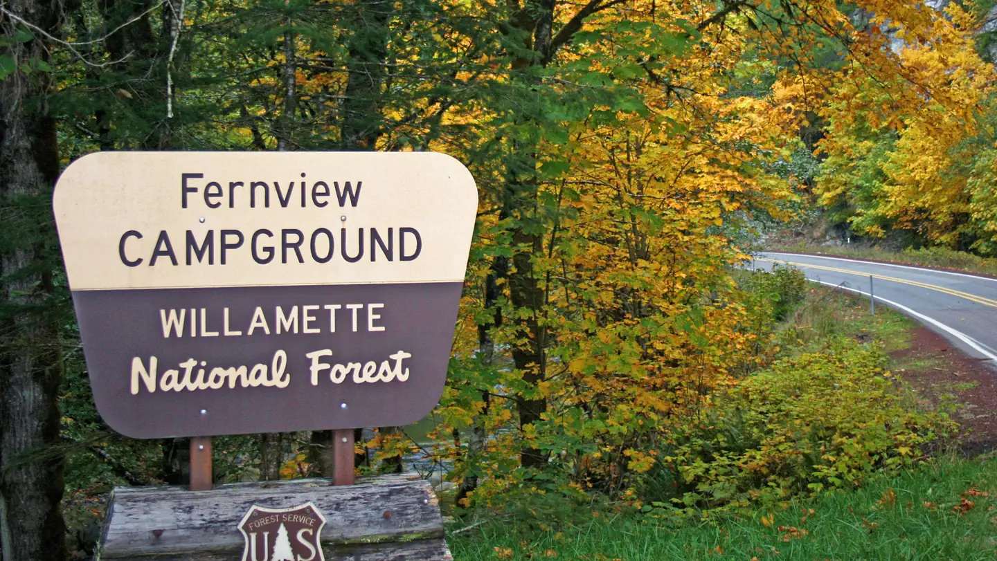 Fernview Group Site