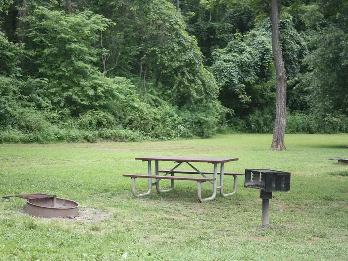 Paw Paw Tunnel Campsite — Campsite with picnic table, grill and fire ring