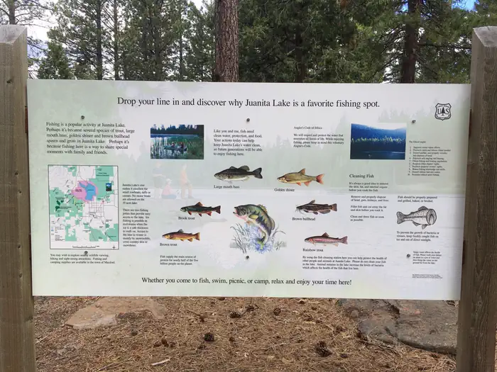 Juanita Lake Campground — Juanita Lake Fish Species Information