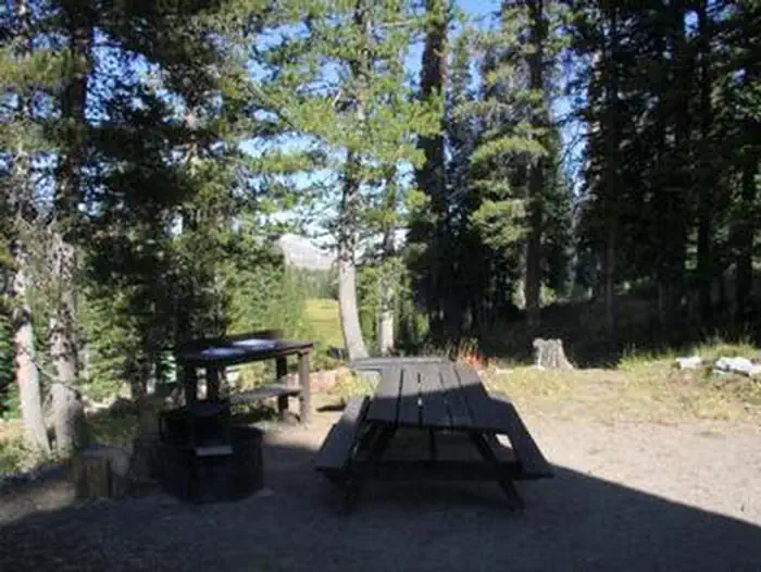 Big Trinity Cabin — BIG TRINITY CABIN