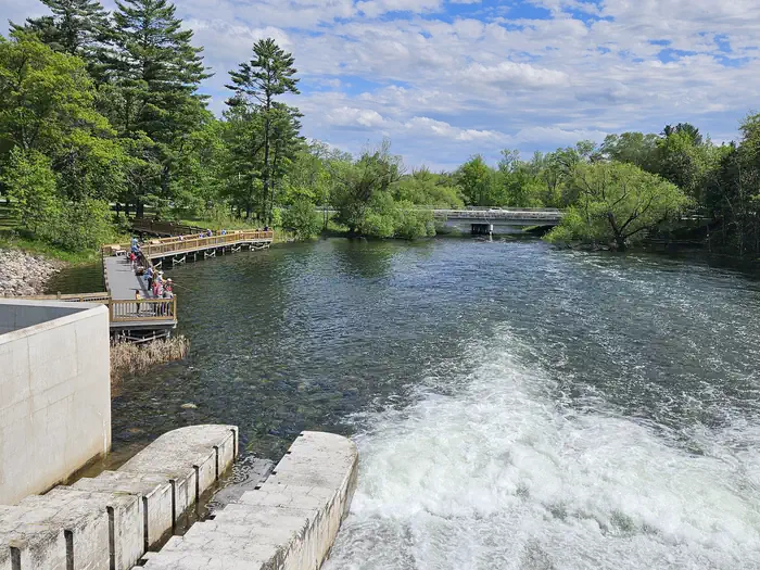 Cross Lake Recreation Area — Pine River