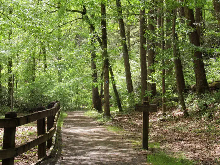 Paint Creek — Campground Trail