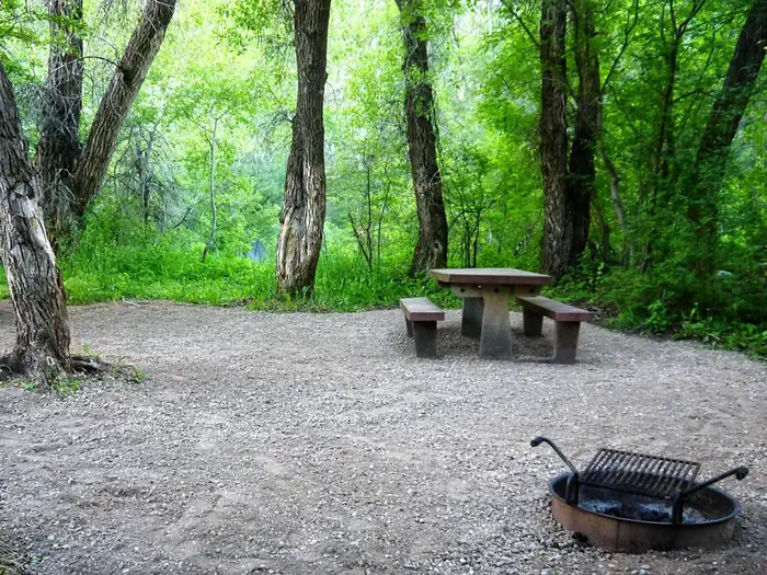 Leigh Creek Campground — lc-cg-preview