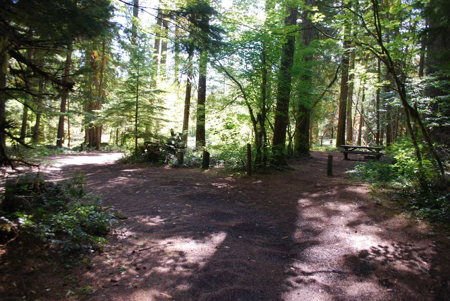 Moss Creek Campground — Moss Creek Campground site