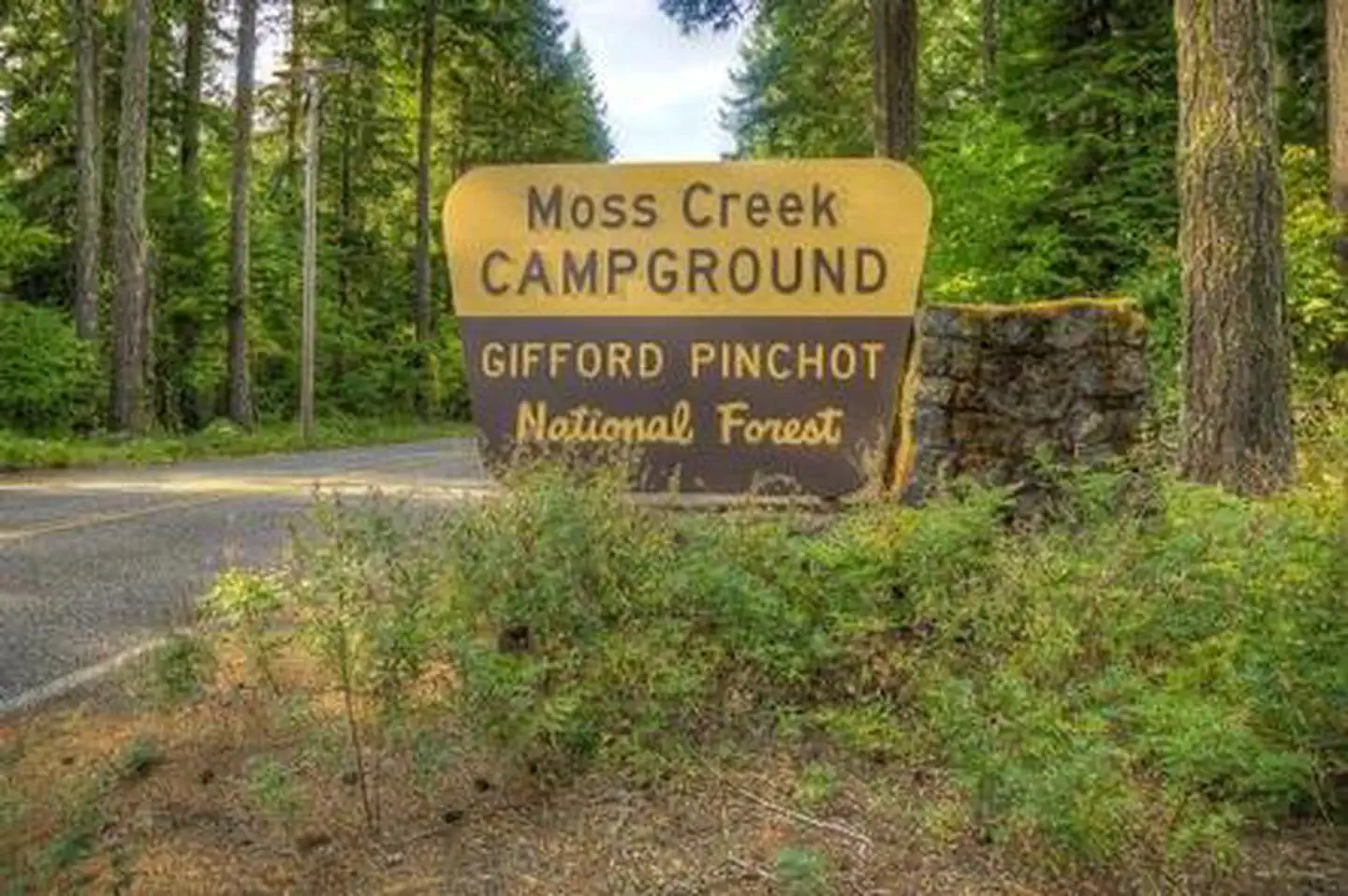 Moss Creek Campground — Moss Creek campground