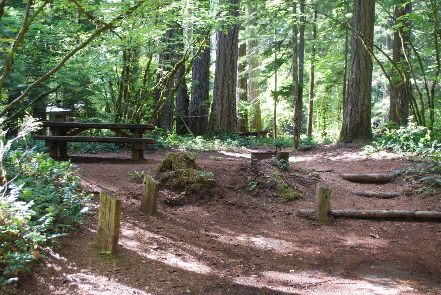 Moss Creek Campground — Moss Creek Campsite