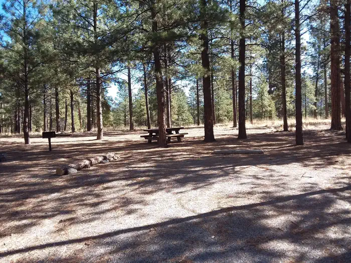 Jemez Falls Campground — Jemez Falls Campground Campsite 49
