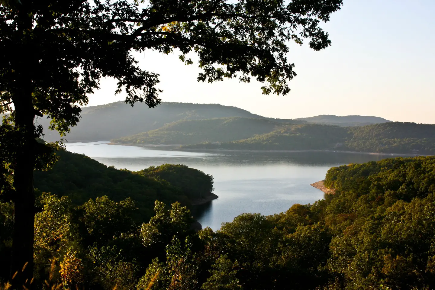 Prairie Creek (ar) — Tree lined Beaver Lake