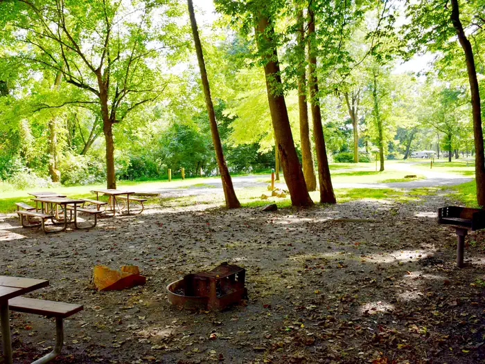 Mccoy's Ferry Campground — Group Campsite with 4 picnic tables, fire pit and grill