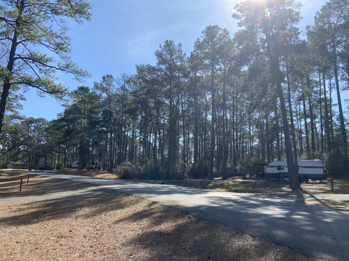 Twin Dikes — Trees Provide Shade and Privacy at Twin Dikes Campground
