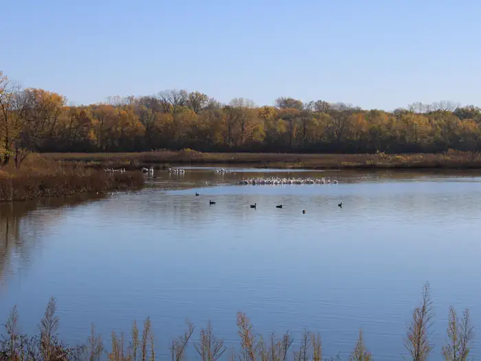 Bob Shelter Recreation Area & Campground — BOB SHETLER RECREATION AREA 1
